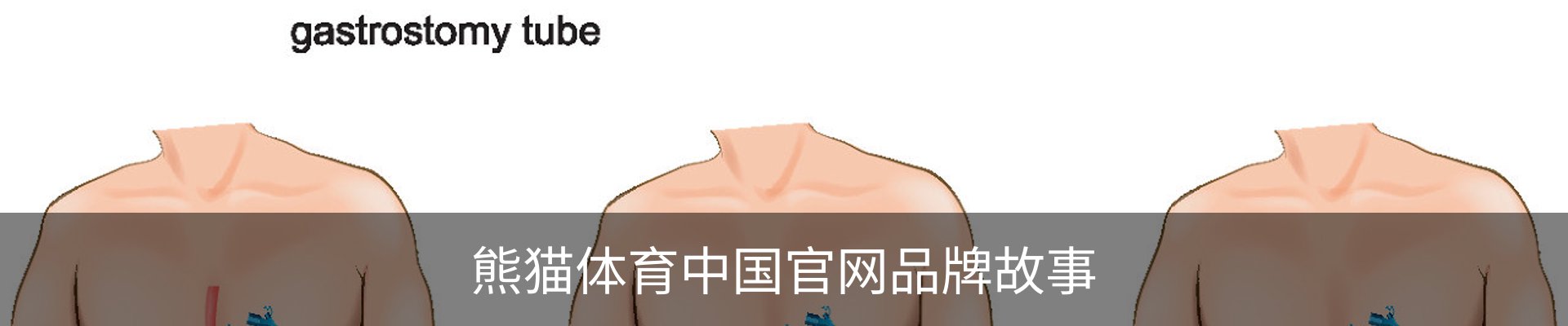 熊猫体育中国官网品牌故事